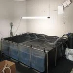 Life-saving budget pond!!! 5