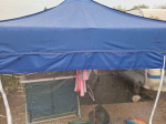 Carpa en mal estado 1