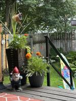 Sturdy Railing for back deck  5
