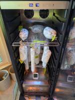 Great Salami Chamber on a Budget. 5