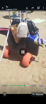 Carrello da trasporto  5