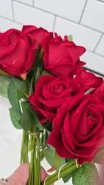 Gorgeous Roses… Funky Smell 😂 3