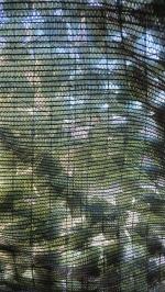 Good for the Price, But Not Full Privacy 🌿 3