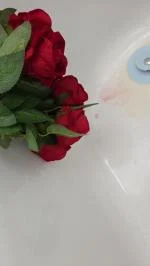 Gorgeous Roses… Funky Smell 😂 3