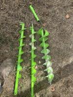 They are perfect for light soil even a little calcaire but…  3