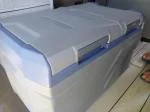 Considerazioni su acquisto freezer Vevor : funzionamento elettrico da 12V e da 220w, tramite motore a compressore 5