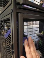 Cage abimer 1