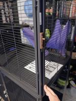 Cage abimer 1