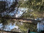 Gets really heavy when at full length, especially when lowering it down! 4