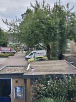 Exactheid van de weergave 4