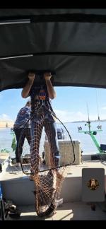 Used for Catfishing 5