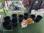 Long lasting, easy to use and plants love them! 5
