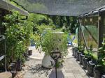 Long lasting, easy to use and plants love them! 5