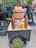 Parfait pour le jus de raisin 5
