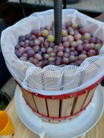 Parfait pour le jus de raisin 5