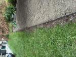 Brown blends in, secure edging 5