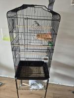 Ruime vogelkooi 5