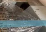 una basura todo 1