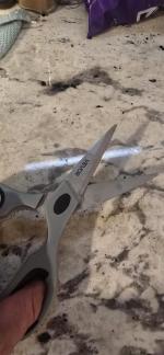 Food grade scissors  5