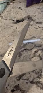 Food grade scissors  5
