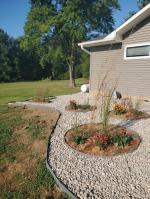 Sturdy edging at a great price 5