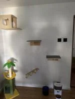 Top! 5