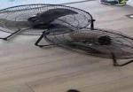 dancing ventilators, so much wow 1