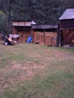 It is a great chainsaw, don't think that the low price means low quality! 5