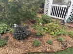 Use an edging tool to get started  5