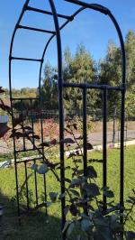 Solidna i niedroga- pod wisterię i pod róże 5