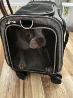 Sturdy, Spacious, and Easy to Set Up 5