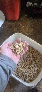 Pellet Mill 5