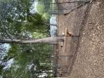 Great fencing 5