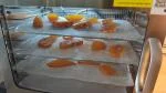 Fruit dryer  5