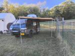Happy camper  5