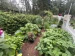 Perfect Garden Beds 5