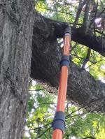 Do not stand directly below the limb you are cutting off! If you do you will be sorry hahah I am a totally satisfied customer  5