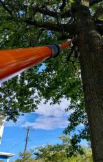 Do not stand directly below the limb you are cutting off! If you do you will be sorry hahah I am a totally satisfied customer  5