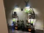 Multi Tier Plant Stands 5