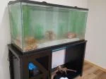 Great unit for the price.  5