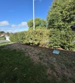 Ne pas tailler des branches de plus de 2cm de diamètre  4