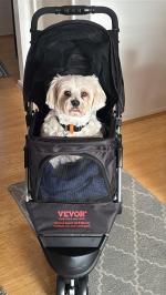 Fantastic pet accessory 5