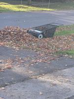 Lawn Sweeper is Trash 1
