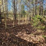 Chicken fencing  5