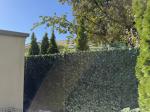 Largest size perfectly covered full fence panel 5