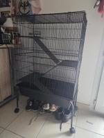 C'est une cage en 2 parties, mais rien de compliquer ! 5