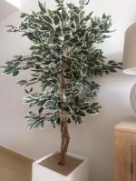 Amazing quality with genuine looking leaves and trunk 5