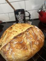 Fabulous Dutch Oven  5