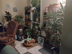 Clean and neat and holds lots of plants of various sizes 5