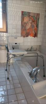 Chaise de transfert idéal 5